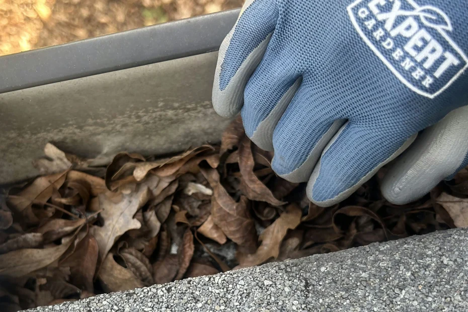 Gutter Cleaning North Druid Hills