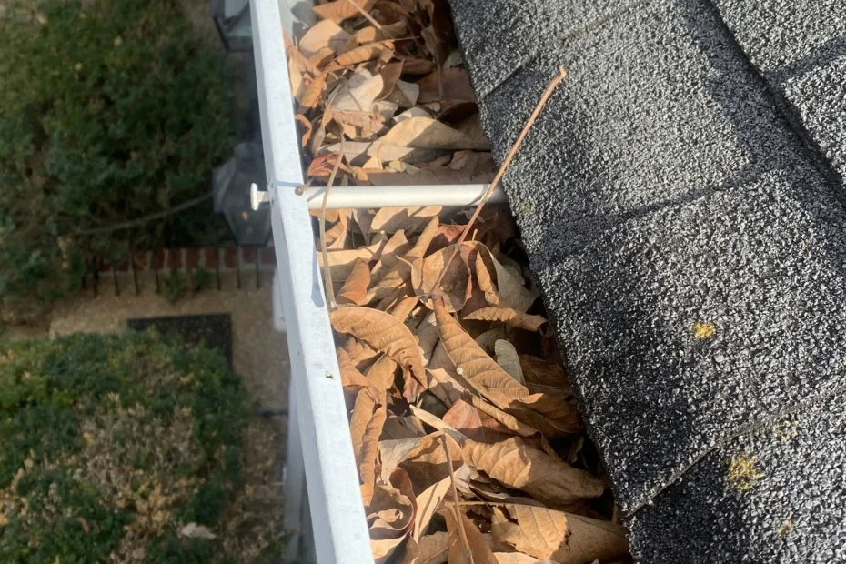 Gutter Cleaning North Druid Hills