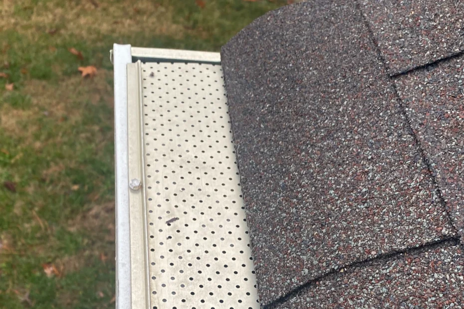 Gutter Cleaning North Druid Hills