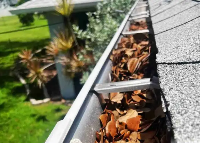 Gutter Cleaning North Druid Hills home page